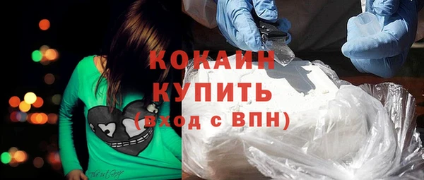 крисы Мегион