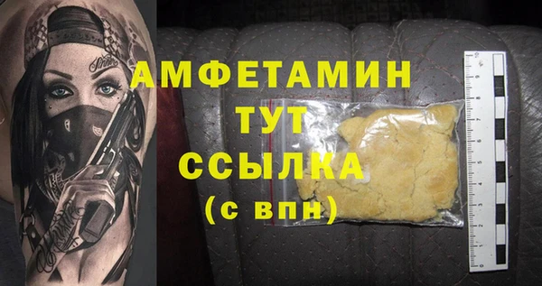 крисы Мегион