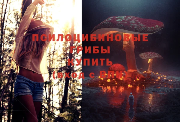 спиды Медногорск