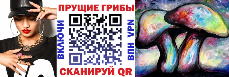 Галлюциногенные грибы MAGIC MUSHROOMS Тавда