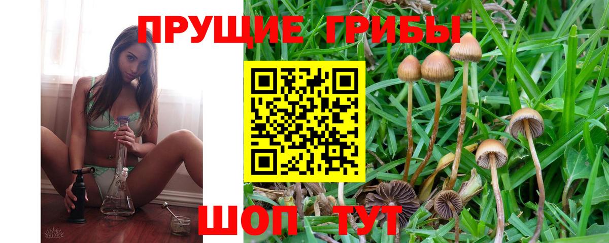 Тавда  Галлюциногенные грибы ЛСД  Вход с VPN  Псилоцибиновые грибы MAGIC MUSHROOMS 